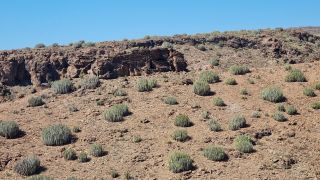 2024-02-GranCan-Playa Del Aguila-Trek-73.jpg